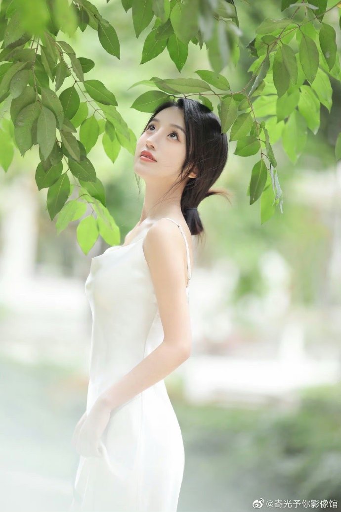 教父